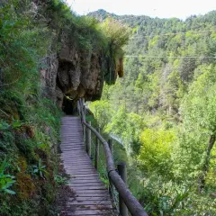 Pasarela de madera junto a un acantilado cubierto de vegetación, ideal para rutas senderismo Catalunya. Bosque frondoso al fondo.