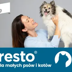 Jak założyć psu obrożę przeciwpchelną i uniknąć błędów w aplikacji