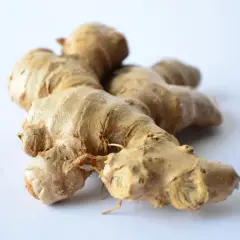Ein frisches Ingwerstück auf weißem Hintergrund. Achte auf dunkle Flecken, um ingwer schimmel erkennen zu können.