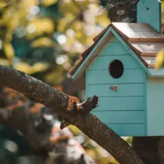 Casa para pájaros azul turquesa, con techo de madera, colgada en un árbol. Ideal para aprender como hacer una casa para pajaros.