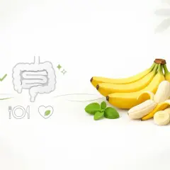 Banany wspierają zdrowe jelita, co pokazuje grafika. Są idealne dla dobrego samopoczucia i trawienia.