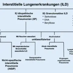 Lungenerkrankungen diagnostik: Wichtige Verfahren zur Früherkennung