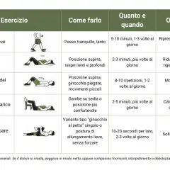 Tabella con esercizi per la fisioterapia schiena: camminata, respirazione, basculamento bacino, posizione di scarico e stretching.