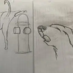 Bocetos de perros y un hidrante, perfectos como dibujos de animales para dibujar.