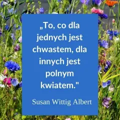 Najbardziej inspirujące cytaty i aforyzmy na miłego dnia, które poprawią humor