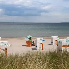 Tanie noclegi nad morzem blisko plaży. Rzędy białych koszy plażowych z numerami na piasku, morze i niebo w tle.