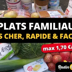 Ingrédients pour une recette pas cher : légumes, beurre, farine, lait, pommes de terre, oignons. Idéal pour 5 plats familiaux rapides et faciles.