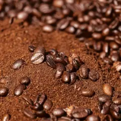 Montón de café molido con granos enteros esparcidos. Parece que el café se pone malo, perdiendo su frescura.