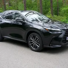 Czarny Lexus NX 350h na drodze leśnej. Ciekawi Cię jego lexus nx 350h spalanie?