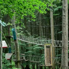 Park linowy w lesie z mostkami, drabinkami i platformami między drzewami.