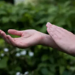 Dłonie wykonujące delikatne ruchy, jak podczas sesji EFT terapii, na tle zieleni.