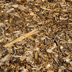 Hackschnitzel im Garten: Nachteile wie Unkrautwuchs und Feuchtigkeitsverlust sind möglich. Die braunen Holzspäne bedecken den Boden.
