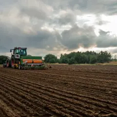 Traktor z siewnikiem pracuje na polu, kiedy sieje się rzepak. W tle silosy i las.
