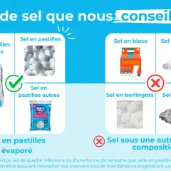 Le sel régénérant, c'est quoi ? L'image montre différents types de sel pour adoucisseurs : pastilles (Fontaigue, autres, évaporé), blocs, cristaux, berlingots, ogives. Les pastilles sont conseillées.