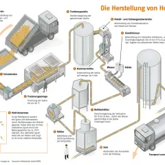 So werden Pellets hergestellt: Rohmaterial wird getrocknet, zerkleinert, konditioniert und dann in der Matrizenpresse zu Pellets geformt. Nach Kühlung und Siebung erfolgt die Lagerung im Pelletsilo.