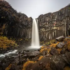 Svartifoss, najpiękniejszy wodospad, spada kaskadą wśród bazaltowych kolumn. Otoczenie skaliste i jesienna roślinność tworzą magiczny krajobraz.
