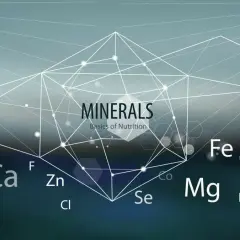 Grafika przedstawia schematyczne połączenia między symbolami pierwiastków chemicznych, takich jak Fe, Na, Mg, Ca, Se, Mn, Cu, Zn, Cl, F, S, K, P, Cr, Co, I. W centrum znajduje się napis "MINERALS Basics of Nutrition". Obraz podkreśla znaczenie mikroele...