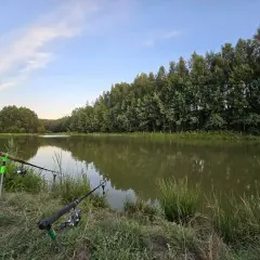 Dwa wędki ustawione nad spokojnym jeziorem otoczonym drzewami.