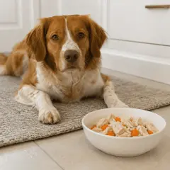 Ein braun-weißer Hund liegt neben einer Schüssel mit Futter, das wie Reis, Getreide und Fleisch aussieht.