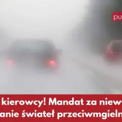 Tylne światła przeciwmgłowe: Kiedy włączyć, by nie dostać mandatu?