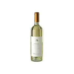 Bottiglia di vino bianco S'Elegas Argiolas, un nasco di Cagliari che evoca profumi mediterranei.