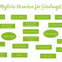Ursachen für Schulangst: soziale Ausgrenzung, geringer Selbstwert, Versagensangst, Wissensrückstand, Angst vor dem Schulübergang, fachspezifische Ängste, Leistungsangst, schlechtes Klassenklima, Angst vor Blamage, lehrerspezifische Ängste, Reizüberflut...