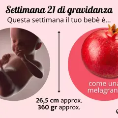 Settimana 21 di gravidanza: il tuo bebè è grande come una melagrana, 26,5 cm e 360 gr. Non sento i movimenti, ma cresce!