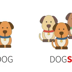 Un cane (dog) e tre cani (dogs). Illustrazione per capire i sostantivi numerabili e non numerabili in inglese.