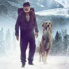 Film o psie Buck: emocjonująca historia przetrwania i przyjaźni