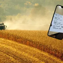 Żniwa kukurydzy w tle, na pierwszym planie smartfon z notatką o cenach zbóż: pszenica, pszenżyto, żyto, jęczmień. Ceny zbóż Woźniak.