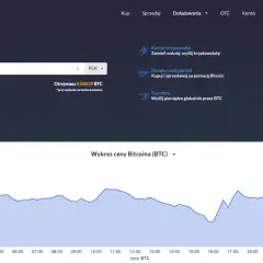 Ile kosztuje 1 bitcoin? Aktualna cena i zmiany na rynku kryptowalut