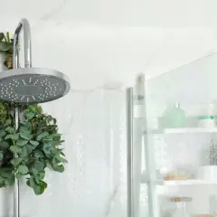 Ein Strauß Eukalyptus hängt neben der Duschbrause und verströmt seinen Duft.