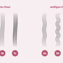 Vergleich von glattem und welligem Haar zur haardicke bestimmen. Verschiedene Abstufungen von 1a bis 2c.