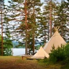 Två tält står uppställda vid en sjö, omgivna av höga tallar. En perfekt plats för naturcamping lagom.