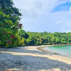 Playa virgen en Manuel Antonio, Costa Rica, con arena blanca, vegetación exuberante y aguas turquesas.