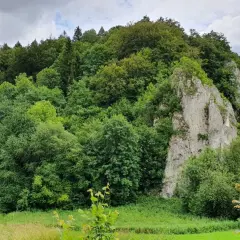 Malowniczy krajobraz z wapiennymi skałami, przypominającymi Maczugę Herkulesa, otoczony bujną zielenią. Trasa turystyczna wije się wśród drzew.