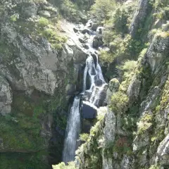La impresionante fervenza do Toxa cae en cascada por un barranco rocoso, rodeada de exuberante vegetación verde y rocas cubiertas de musgo.