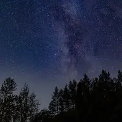 Nocne niebo pełne gwiazd i Drogi Mlecznej nad ciemnym lasem. Idealne miejsce do obserwacji astronomicznych.