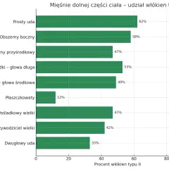 Wykres słupkowy pokazuje procentowy udział włókien typu II w mięśniach dolnej części ciała. Najwięcej tych włókien, kluczowych dla siły i szybkości, znajduje się w prostym udzie (62%).