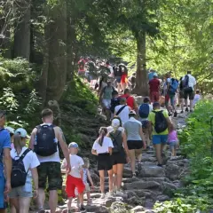Tłum turystów wędruje kamienistym szlakiem przez las, zmierzając w kierunku gór z Trzema Koronami.