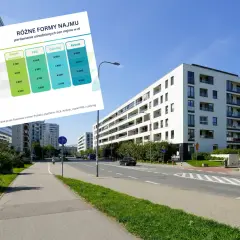 Tabela porównująca ceny najmu mieszkań w różnych formach i miastach Polski.
