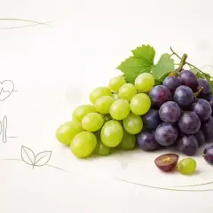 Zielone i fioletowe winogrona, symbolizujące zdrowy tryb życia, pokazują, czy winogrona są zdrowe.