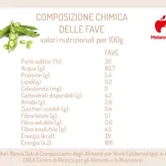 Composizione chimica delle fave: valori nutrizionali per 100g, con dettagli su acqua, proteine, lipidi e fibre.