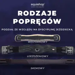 Trzy rodzaje popręgów dla konia: westernowy, ujeżdżeniowy i skokowy. Każdy popręg dopasowany do dyscypliny jeździeckiej.