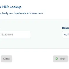 Formularz "Quick HLR Lookup" z polem na wpisanie numeru MSISDN, np. +4915752324181, i wyborem trasy AUTO.