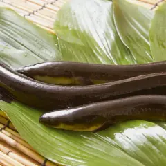 Drei dunkle, glänzende Fische liegen auf grünen Blättern. Das ist Unagi, eine japanische Delikatesse.