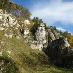 Skały i zieleń na zboczu, gdzie znajduje się najmniejszy park narodowy w Polsce.