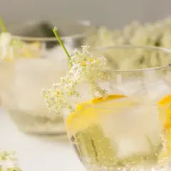 Orzeźwiające drinki z syropem z kwiatu czarnego bzu na lato