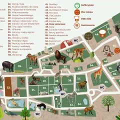 Mapa zoo w Krakowie z zaznaczonymi zwierzętami i atrakcjami.