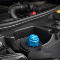 Niebieski korek wlewu AdBlue w komorze silnika samochodu.